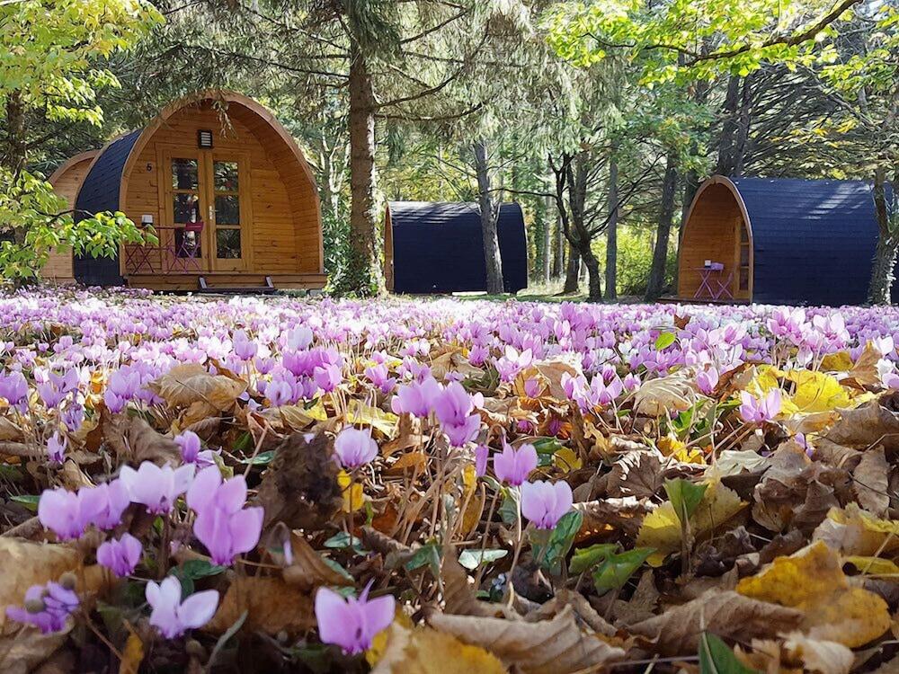 Les Cabanes des Chateaux