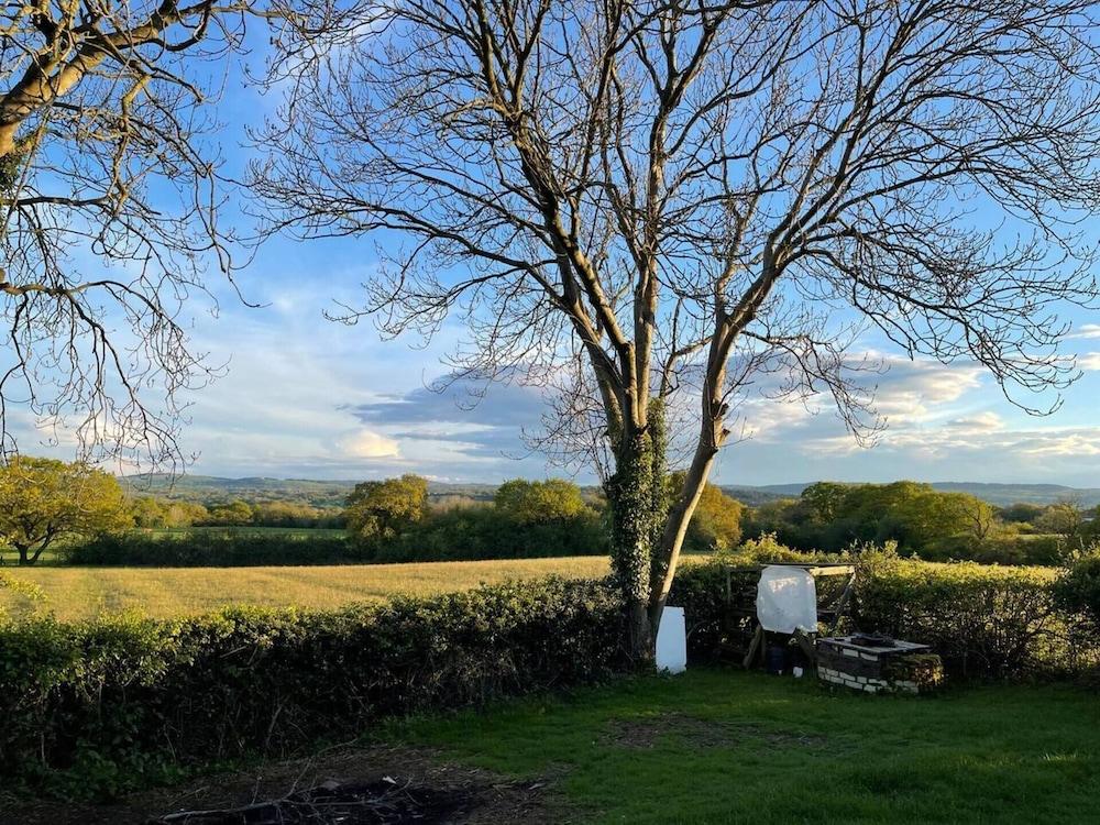 وودلاندز لودج - كوم آند إنجوي ذا جود لايف المنطقة المحيطة بالمنشأة