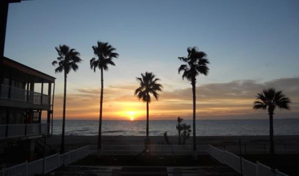 سي شيل إن موتل