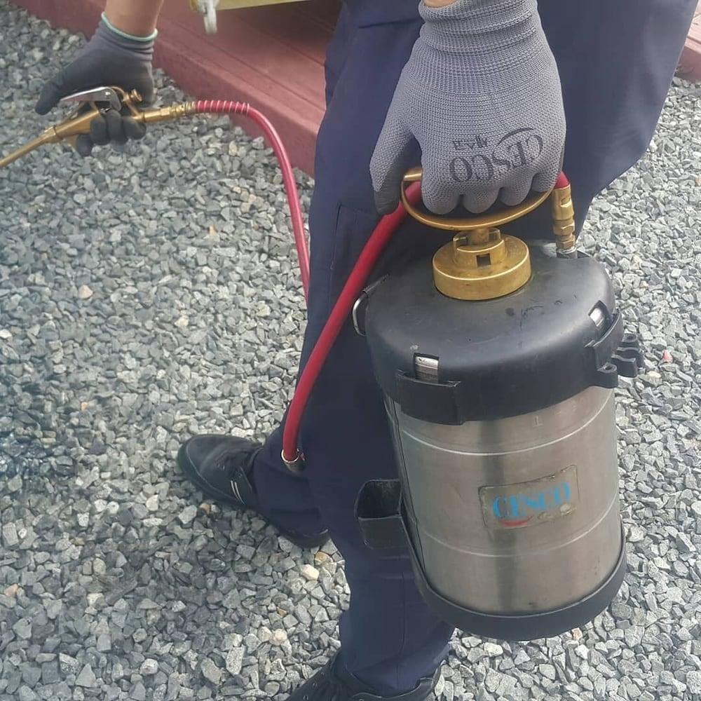 جيونغجو إيديث بولفيلا آند بينشن المنطقة الخارجية