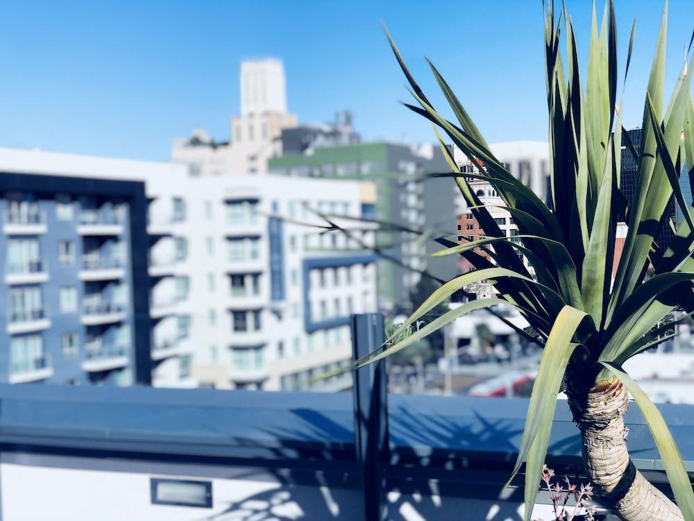 نيو لايف فاينيست لاكشري أبارتمنت المنطقة المحيطة بالمنشأة