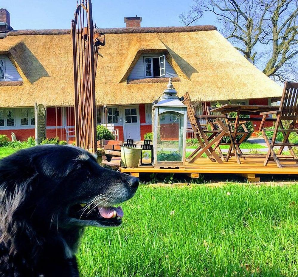 فيجيكاتن - فيرينفونونجن أونتر ريت المنطقة المحيطة بالمنشأة