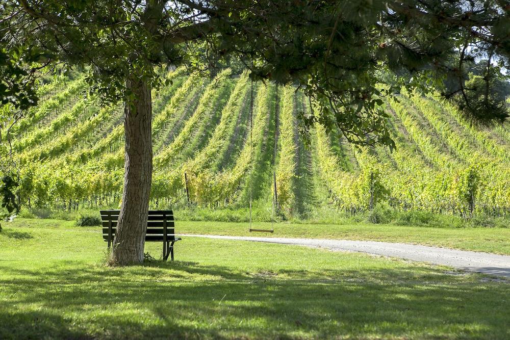 هوتل لاندهاوس موزيرهوف المنطقة المحيطة بالمنشأة