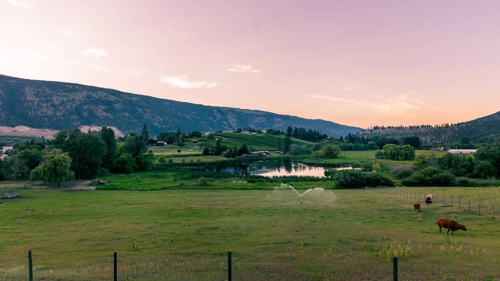 ميستي ماونتن بد آند بريكفاست المنطقة الخارجية