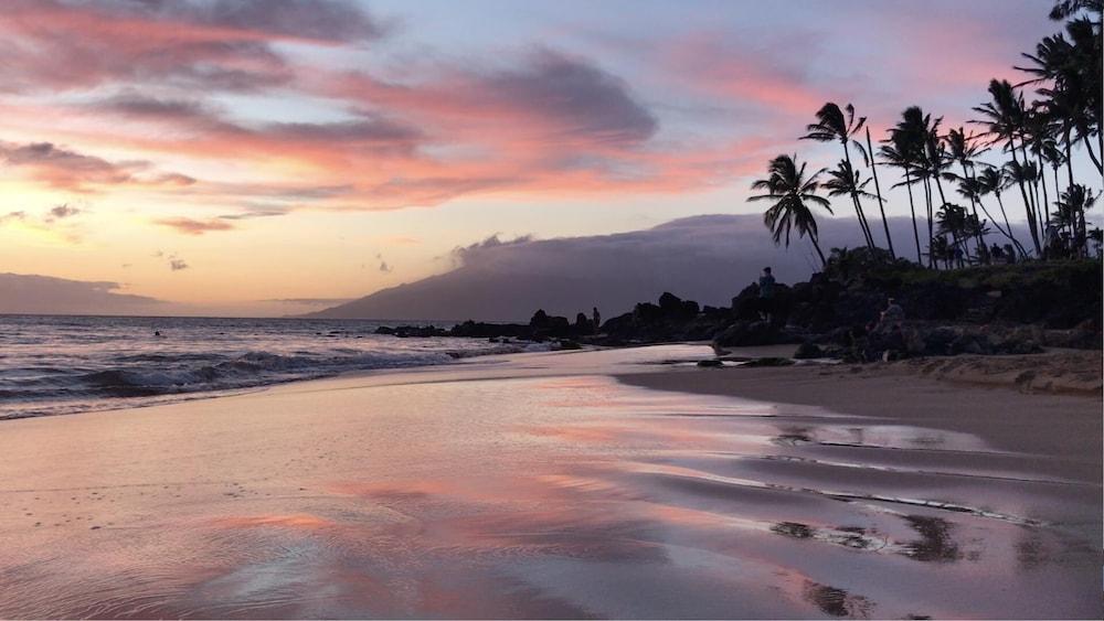 أوهانا هايل نمبر 340607 - 3 بد روم فيلا الشاطئ