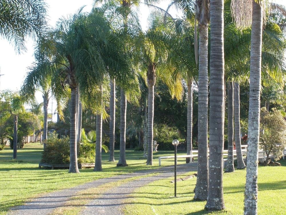 Palms Oasis Motel Property Grounds