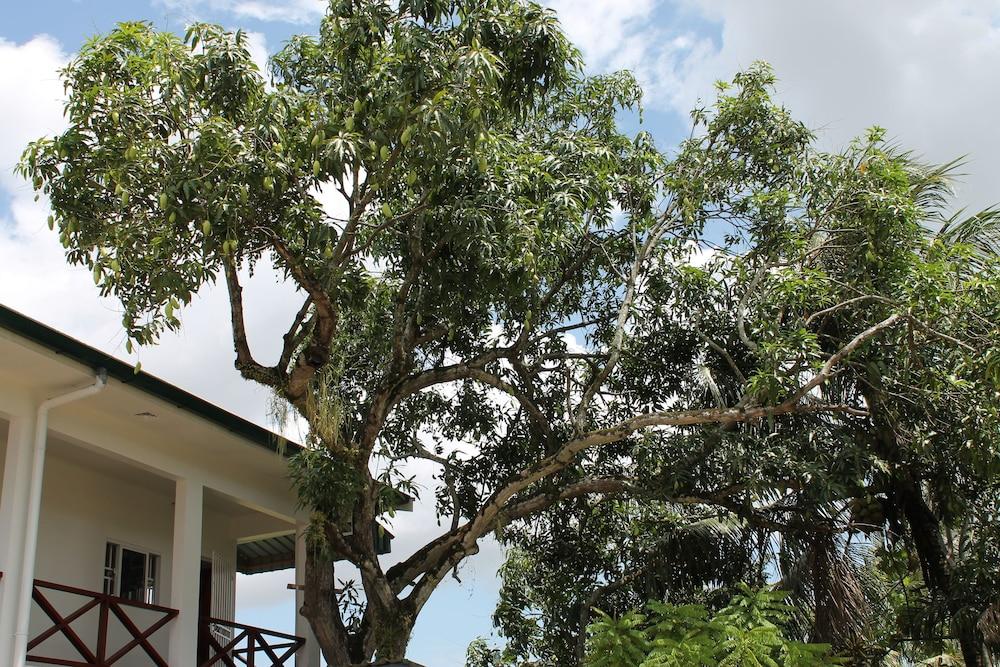 Asteria Studios Exterior