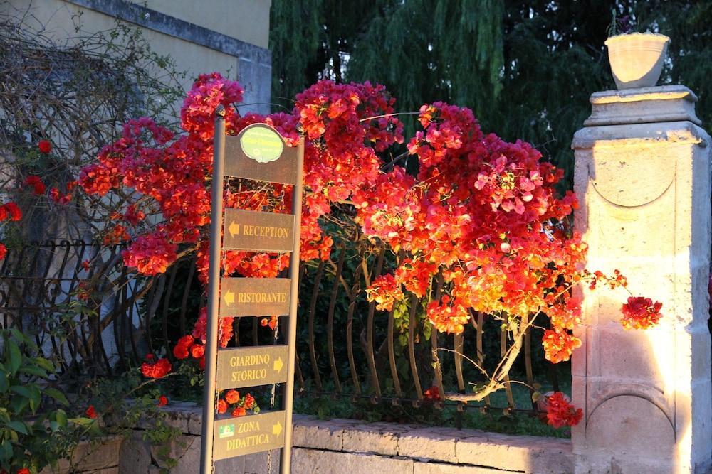 كيس داما منظر من الجو