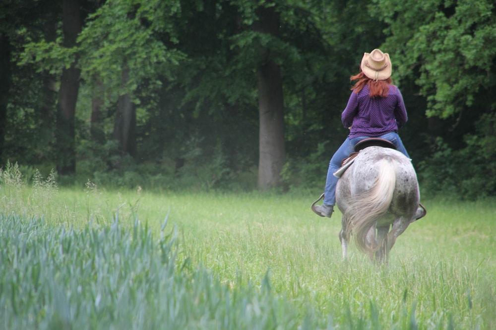 فيجيكاتن - فيرينفونونجن أونتر ريت صالة رياضية