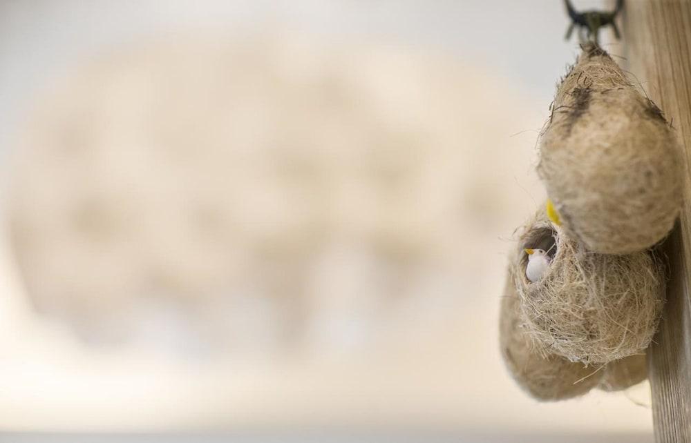 East Cube B&B Exterior