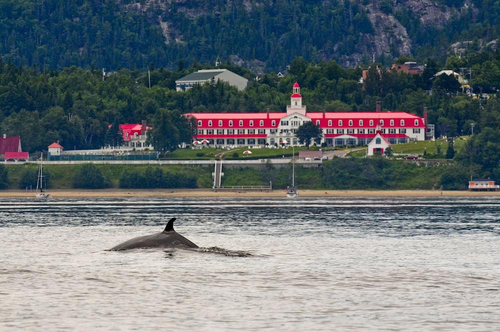 Hôtel Tadoussac