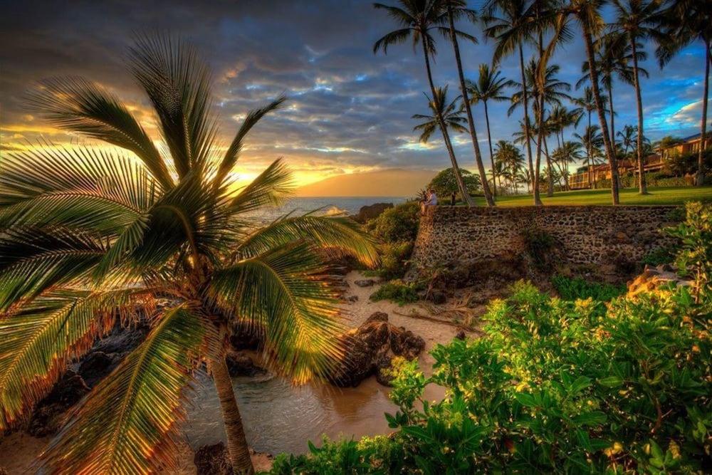 أوهانا هايل نمبر 340607 - 3 بد روم فيلا المنطقة المحيطة بالمنشأة