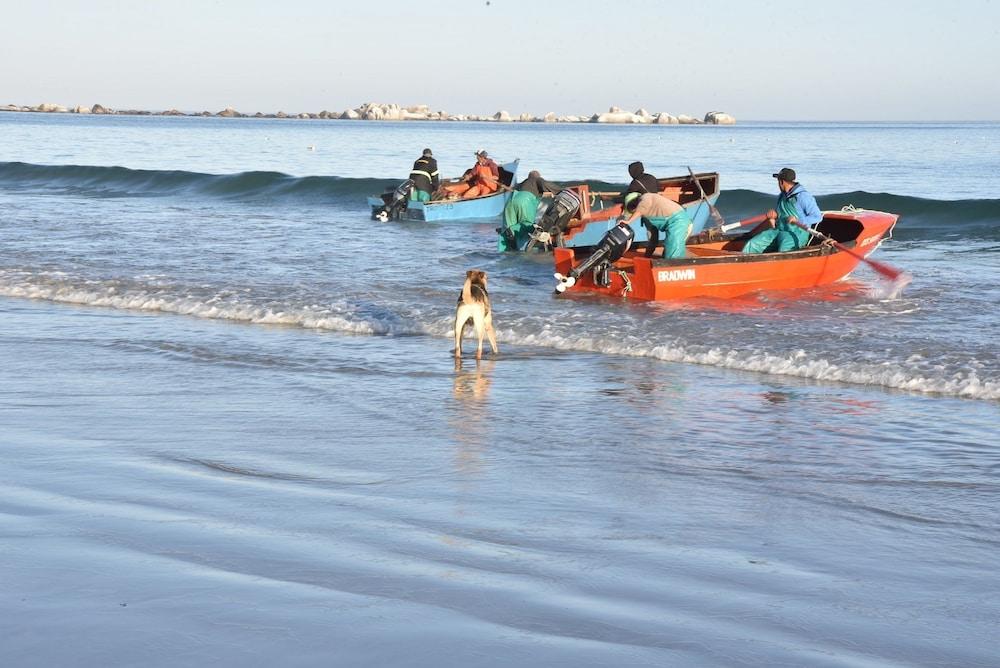 باتيرنوستر دونز بوتيك جيست هاوس