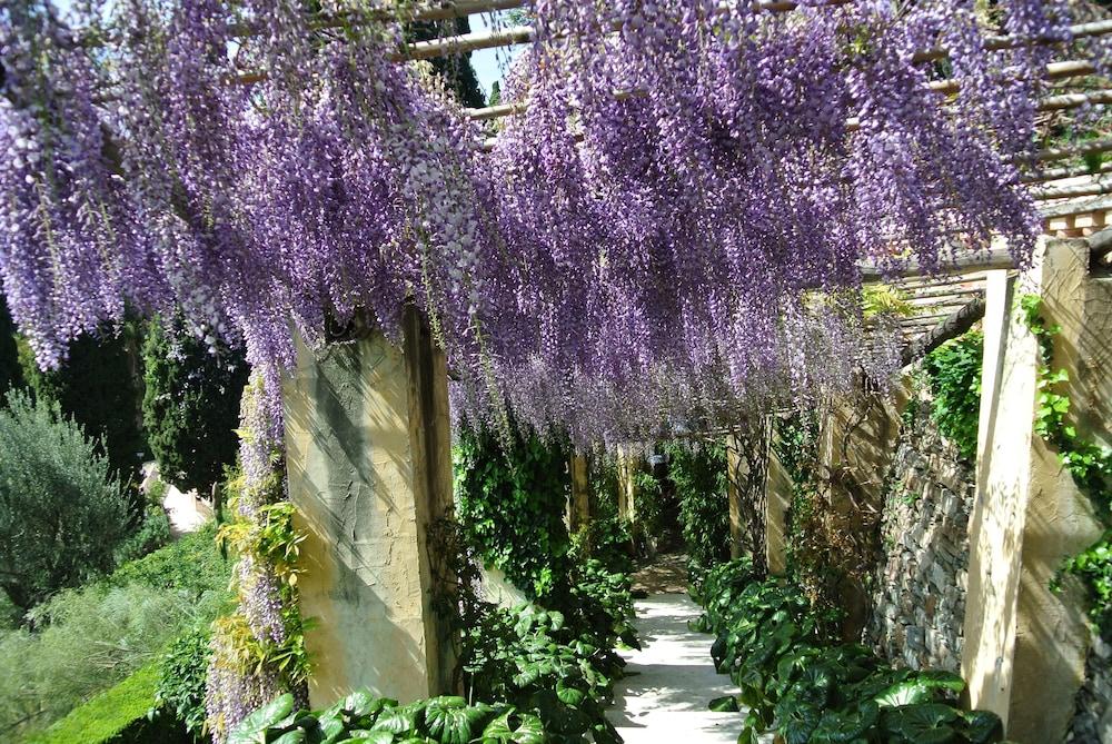 فيلا ديلا بيرجولا المنطقة المحيطة بالمنشأة