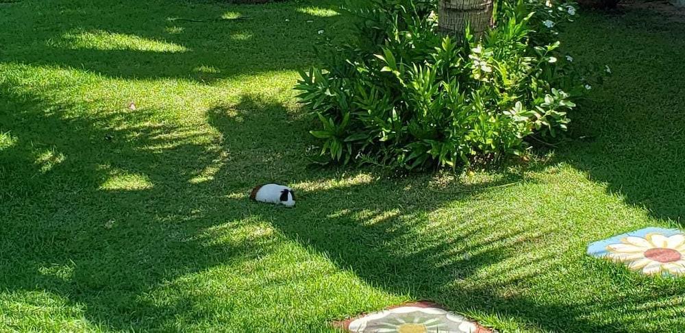 Pousada Conquistador Exterior detail