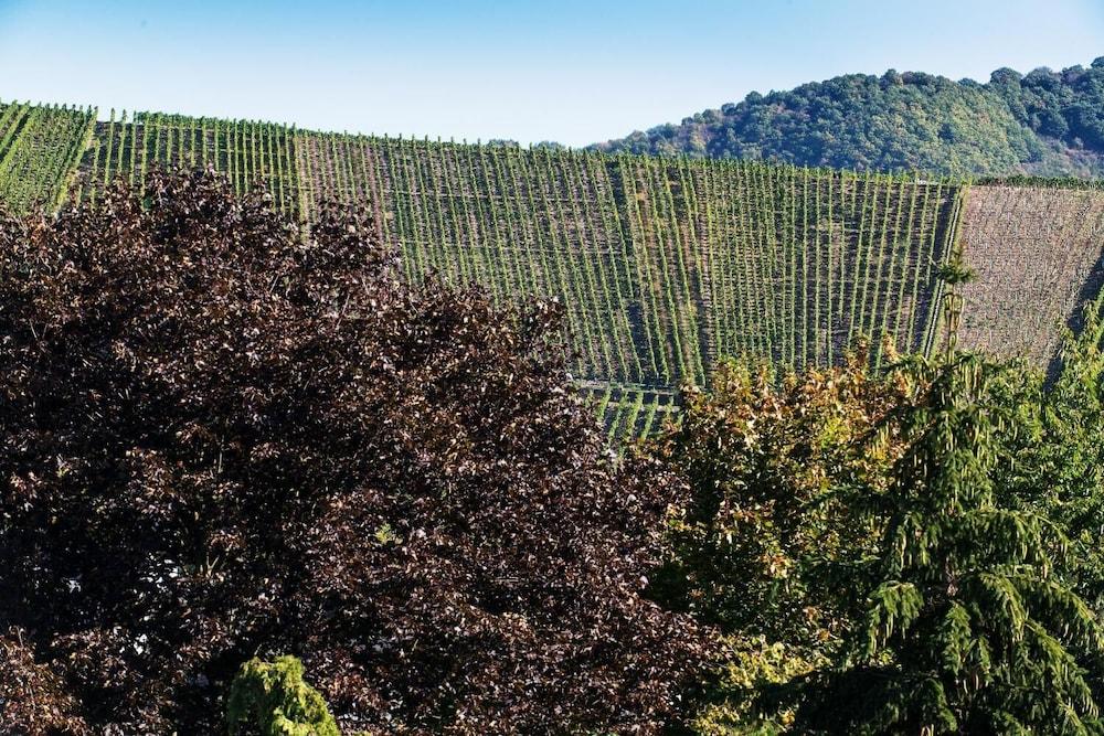 هوتل فاينهاوس فايس المنطقة المحيطة بالمنشأة