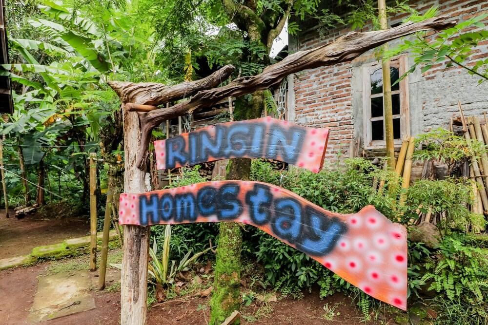 Ringin Guesthouse Exterior