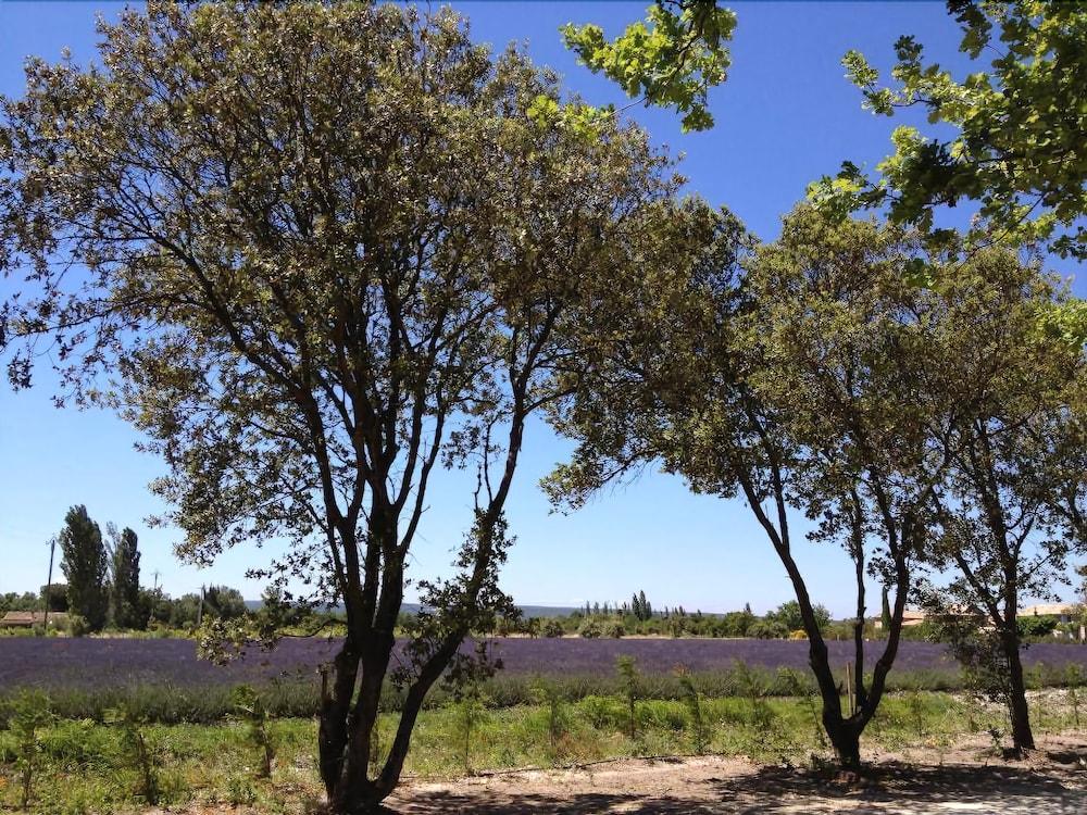 لودجيز أون بروفينس - كارافان بارك المنطقة المحيطة بالمنشأة