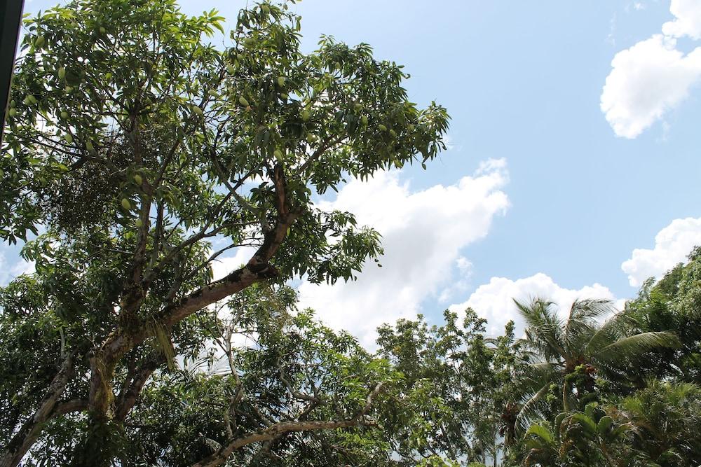 Asteria Studios Exterior