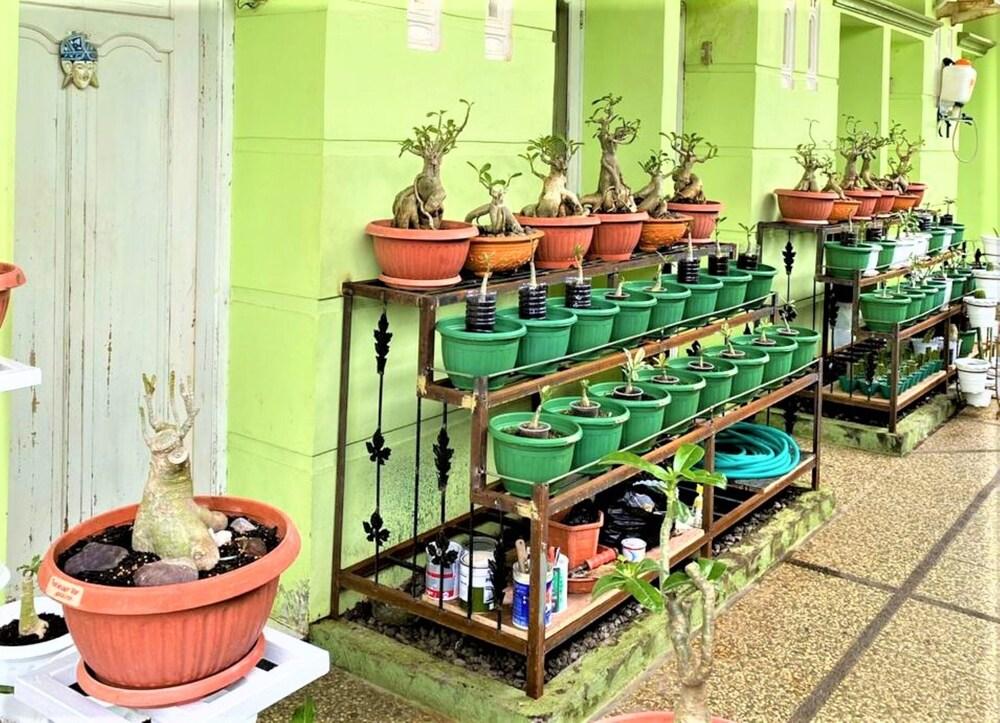 Buntusu Guest House Exterior