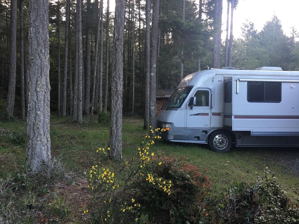 ذا جرايت إسكايب شيرلي ويذ هوت توب المنطقة الخارجية