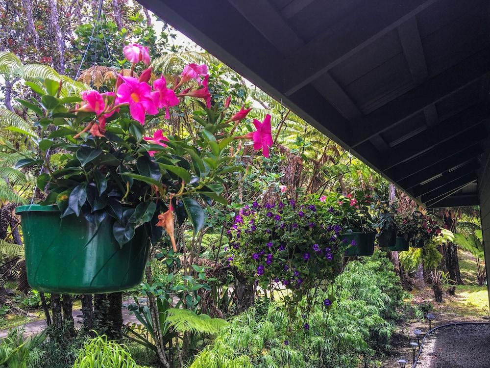 Crème De La Crème Property Grounds