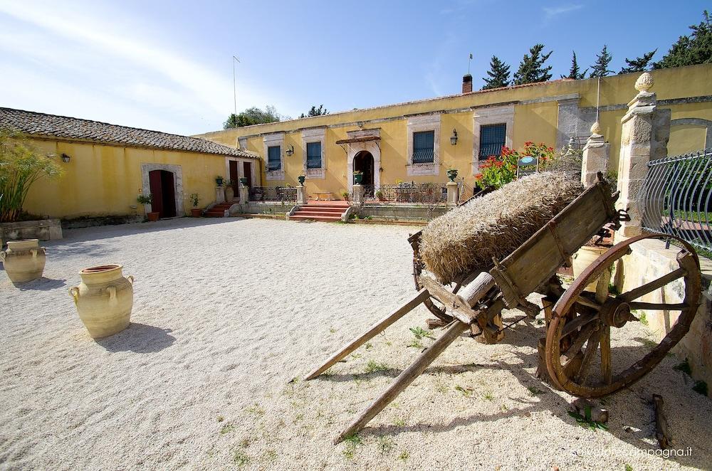 كيس داما الصورة الأساسية