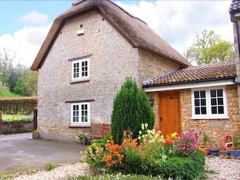 The Thatch