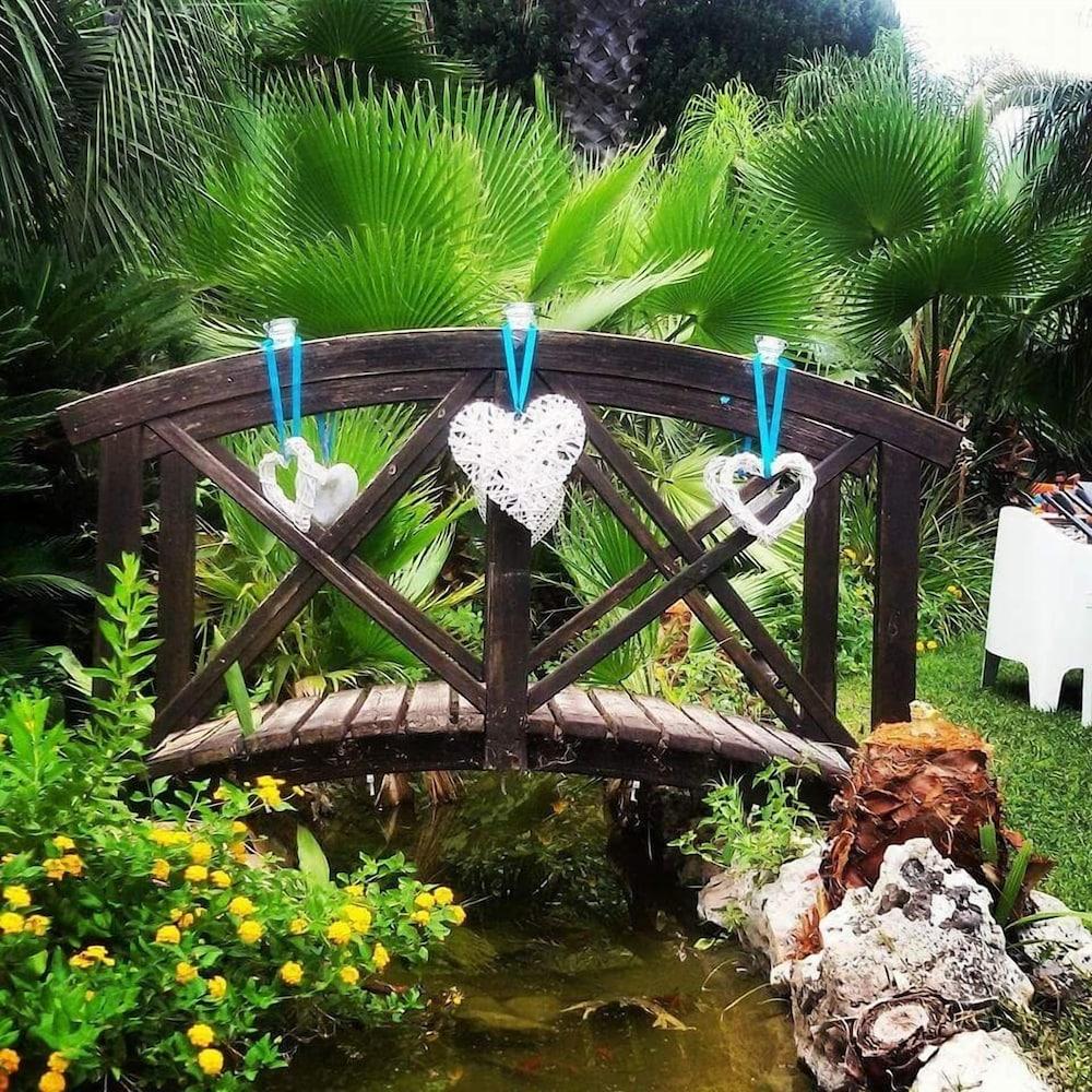 ألومبرا ديل بالميتو المنطقة المحيطة بالمنشأة