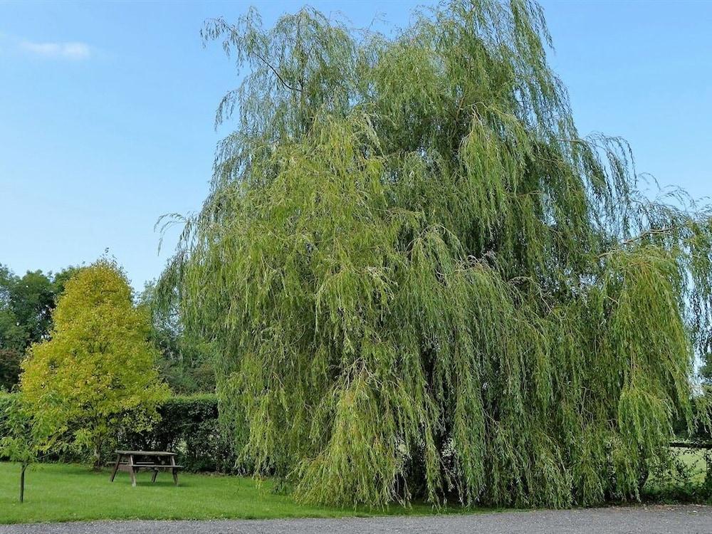 The Willows Accommodation Exterior