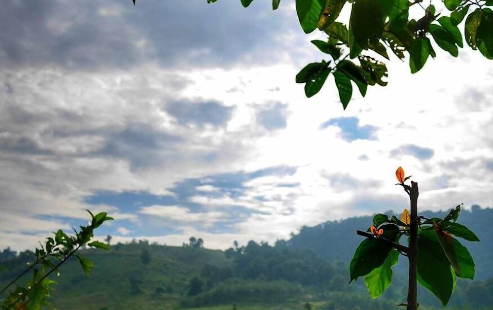 Oxygen Homes&Hills Property Grounds