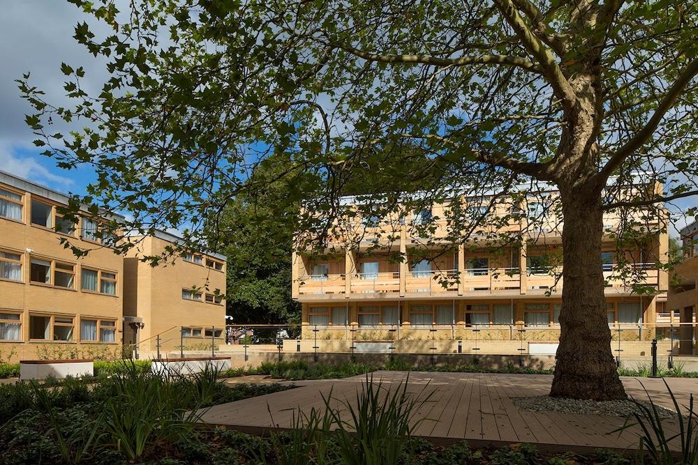 كوليدج كورت