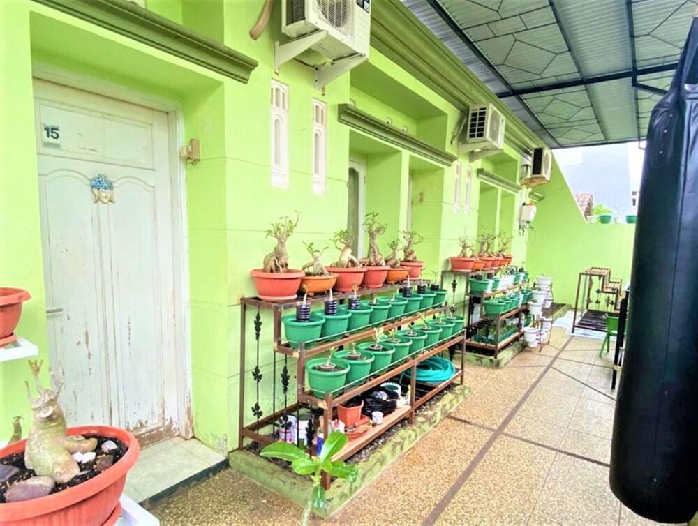 Buntusu Guest House Exterior