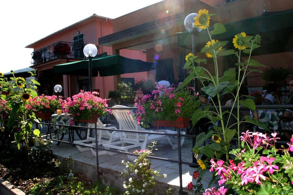 بلو كوايت آند مارفيكا