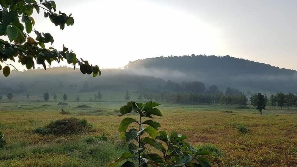 Oxygen Homes&Hills Property Grounds