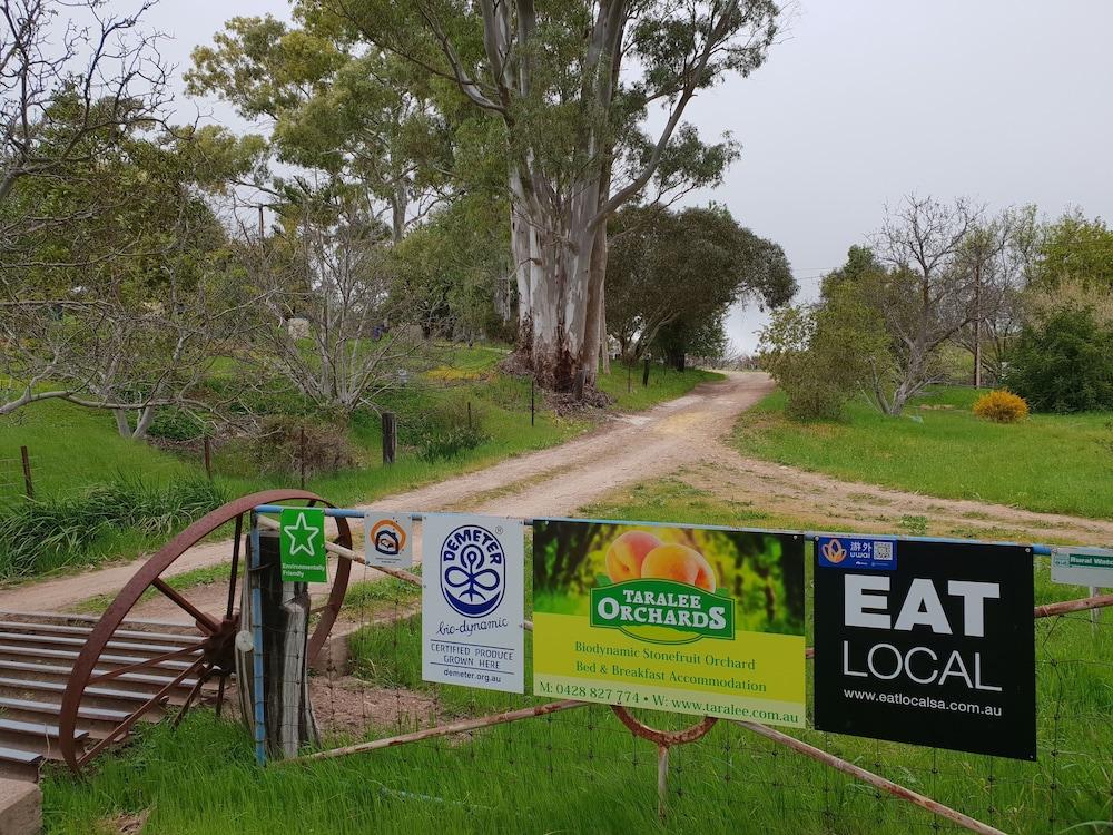 Taralee Orchards Featured Image