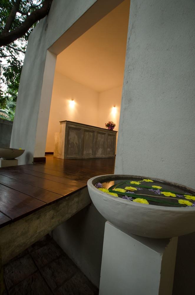 كليو بولجودا