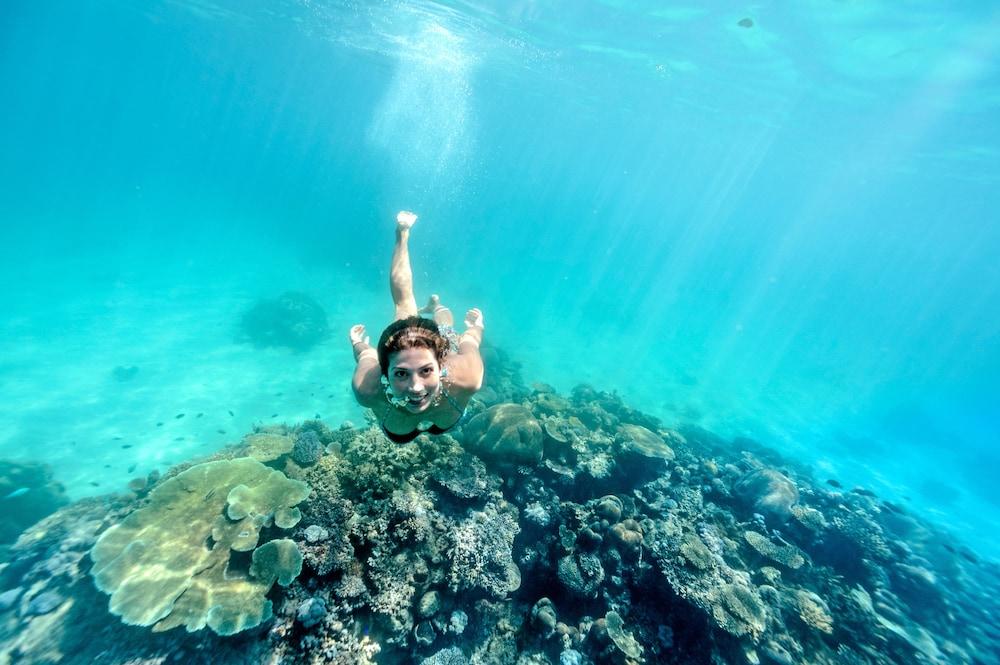 Mantaray Island Resort Waterslide