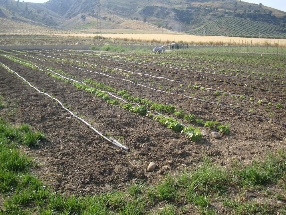 Agriturismo Fieri Property Grounds
