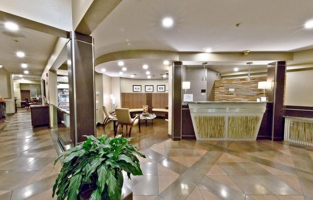 هوتل ستراتا الردهة