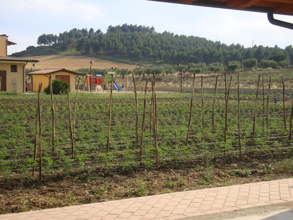 Agriturismo Fieri Property Grounds