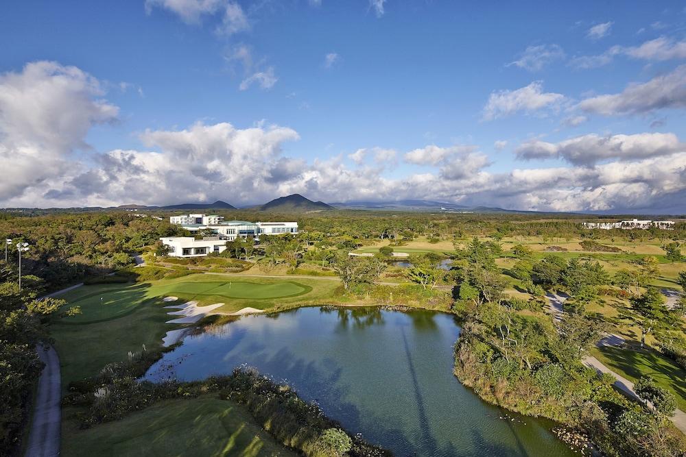 هوتل تيدي فالي