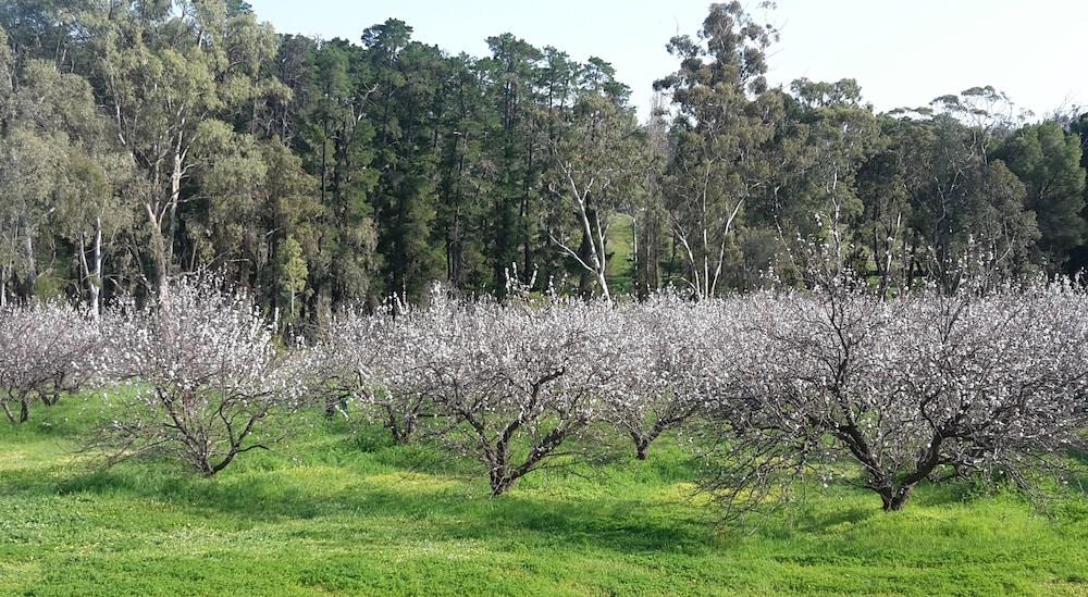 Taralee Orchards Property Grounds