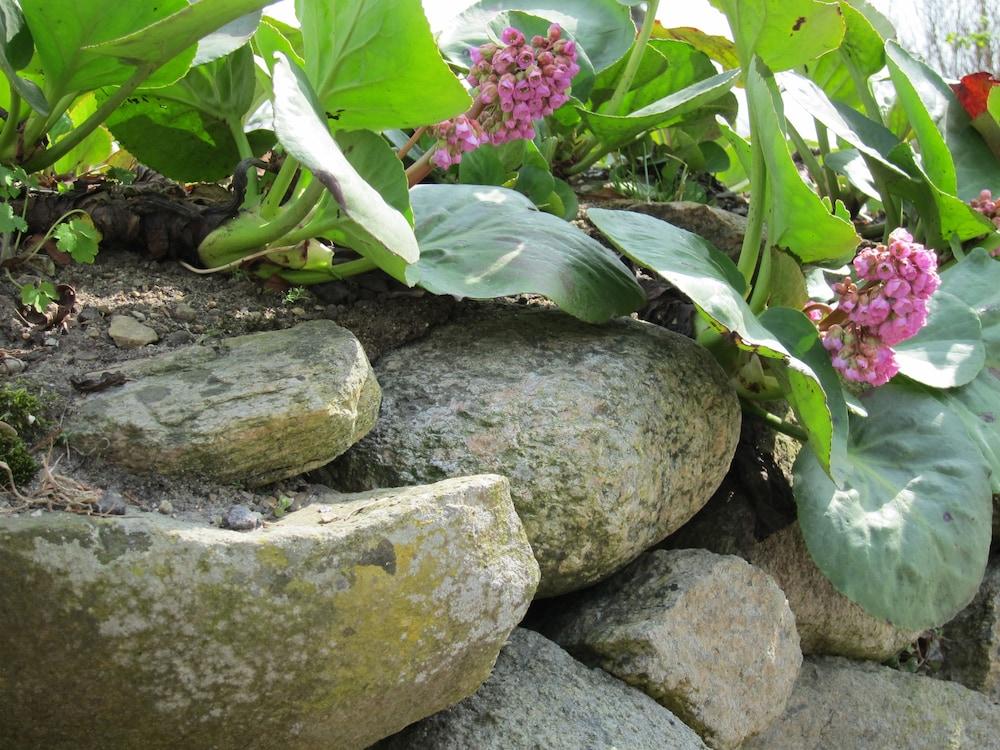 بروستيغوردن بيد آند بريكفست تفاصيل الفندق من الخارج