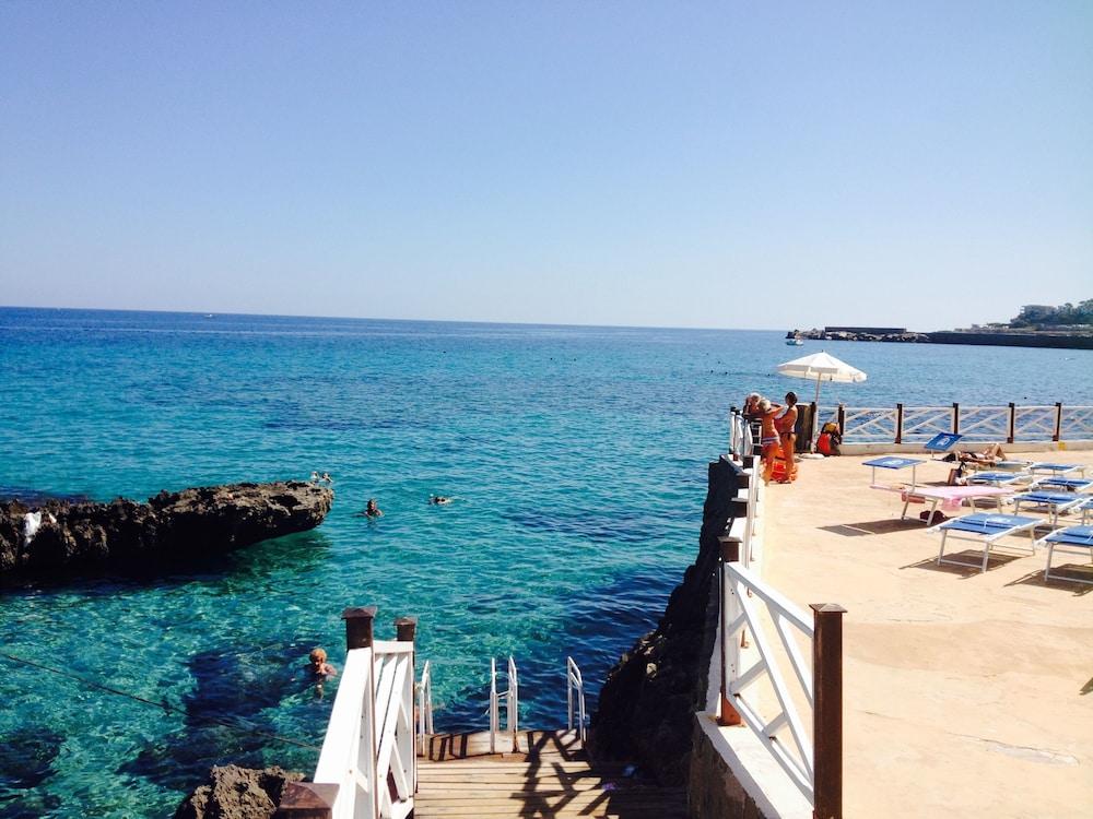 لا مارسا فاكونس