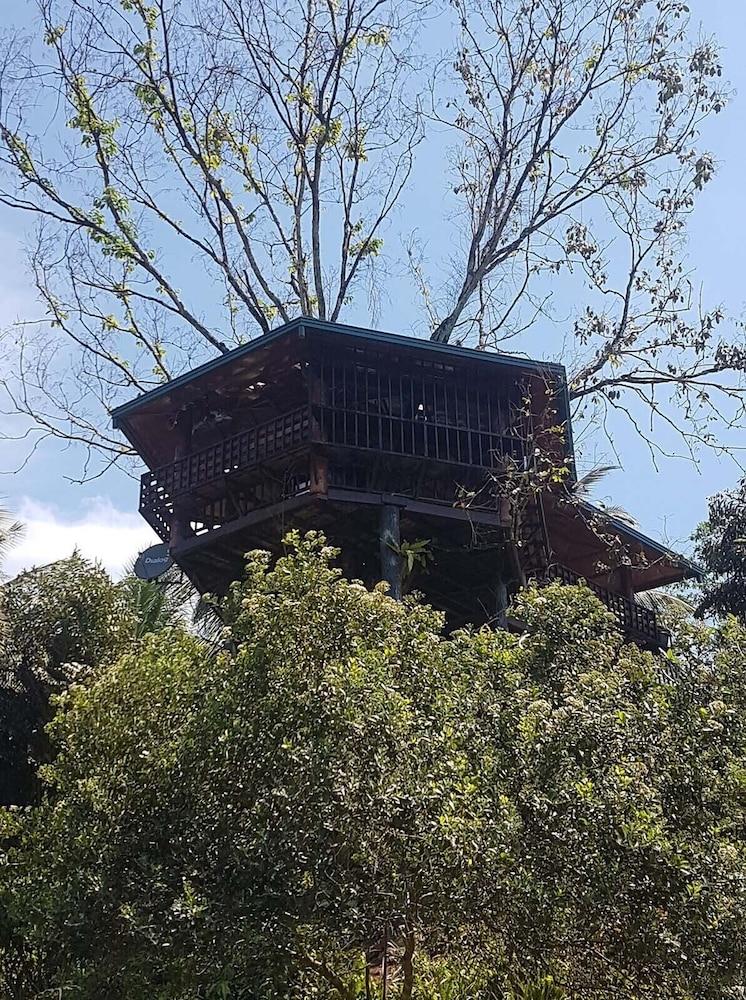 ثيفني هوليداي ريزورت المنطقة الخارجية