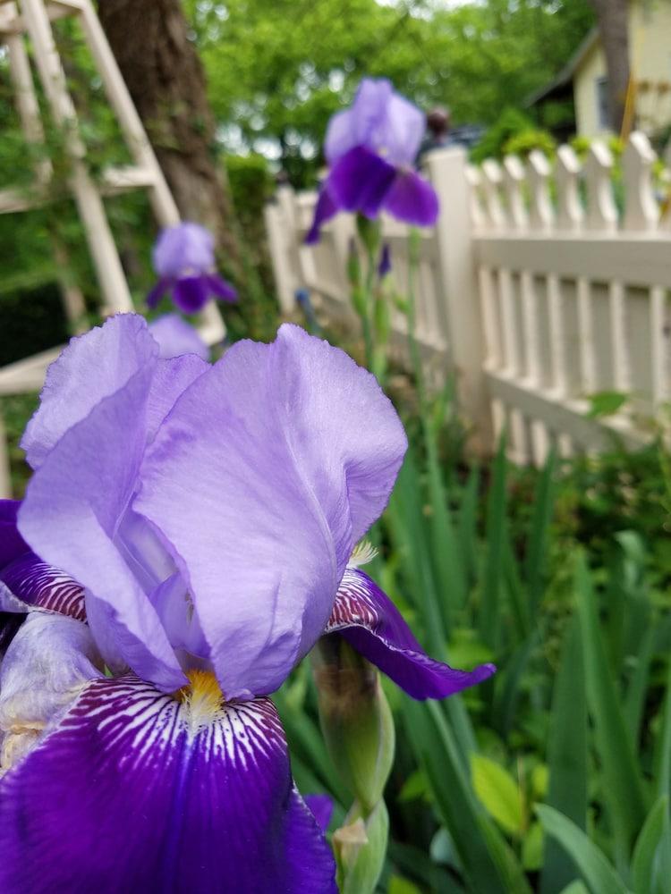 5 Ojo Inn Bed and Breakfast Exterior