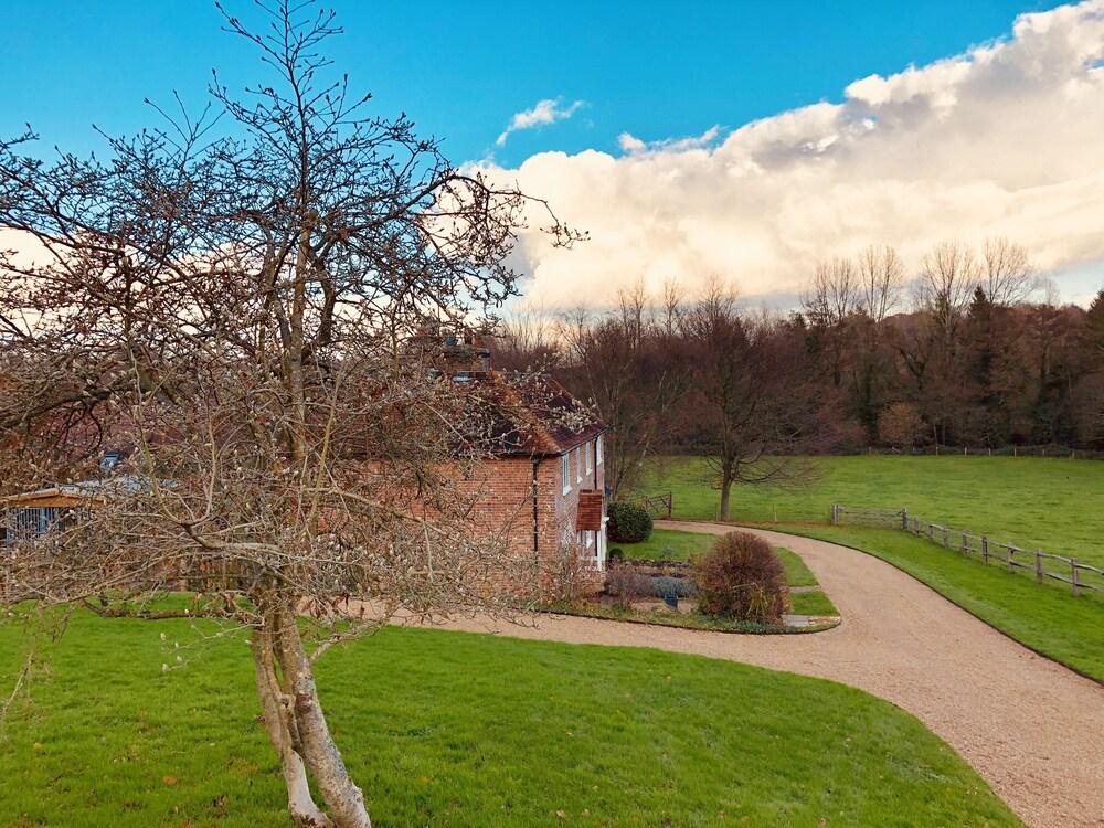 ذي دورسيت أرمز كوتيدجس المنطقة المحيطة بالمنشأة