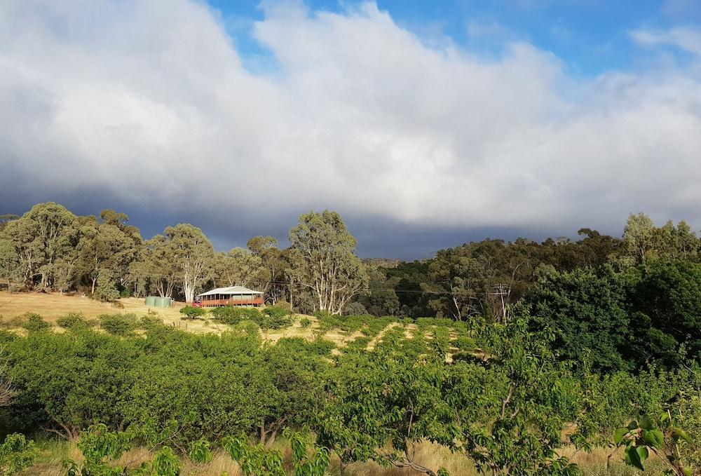 Taralee Orchards Property Grounds