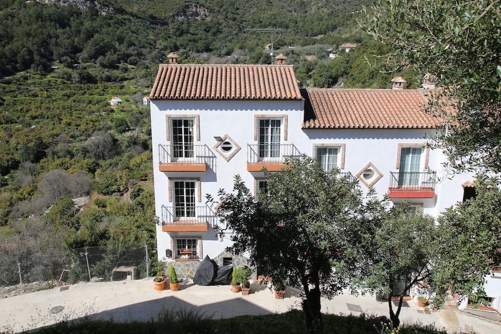 ألوجامينتوس مونتفيرد